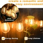 Outdoor String Lighting with a Cozy and Romantic Ambient Glow