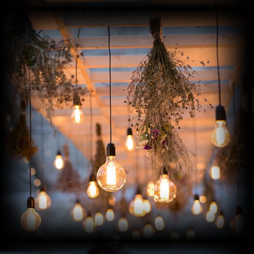 Outdoor LED Lights