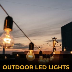 Outdoor Lights